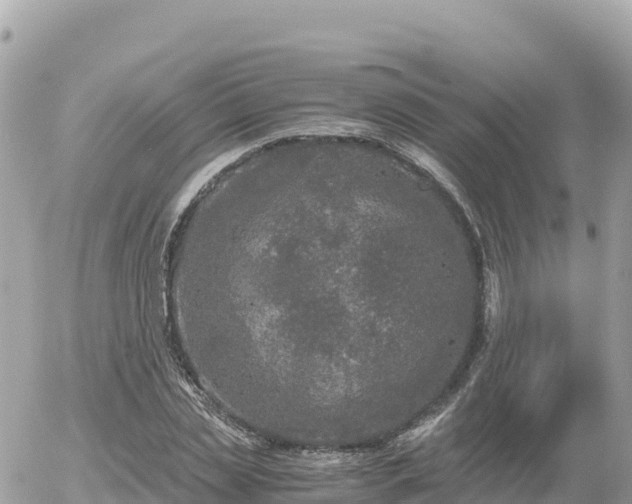 X0000056000829200508261747