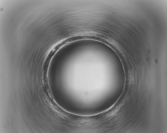 X0000056000830200508261747