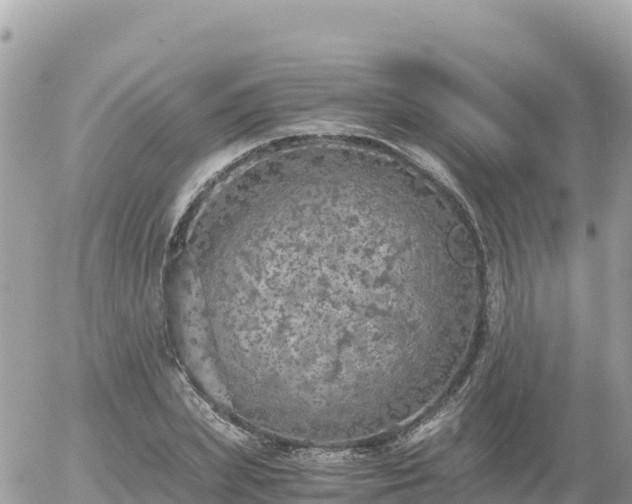 X0000056000831200508261747