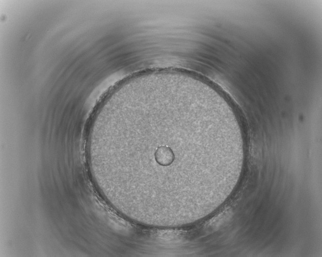 X0000056000832200508261747