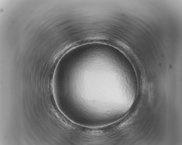 X0000056000833200508261747