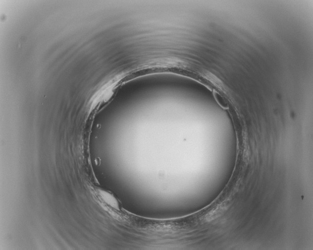 X0000056000834200508261747