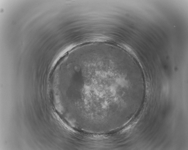 X0000056000835200508261747