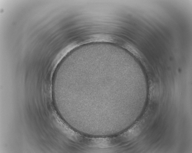 X0000056000836200508261747