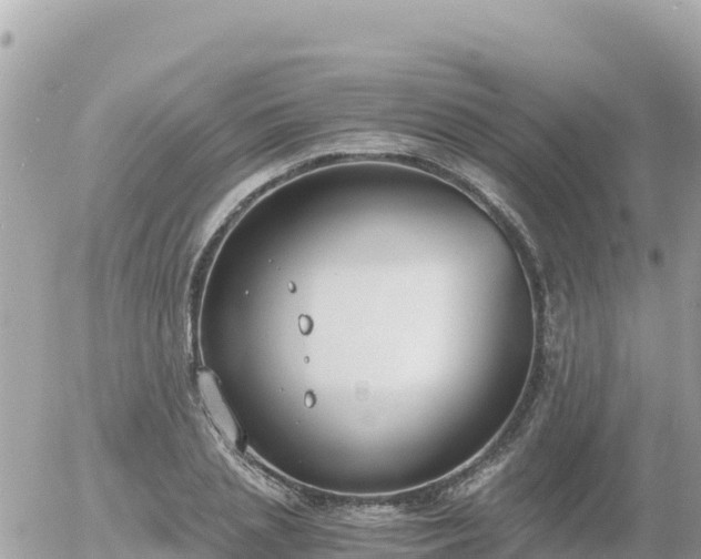 X0000056000837200508261747