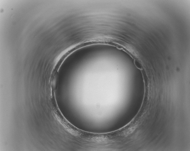 X0000056000838200508261748