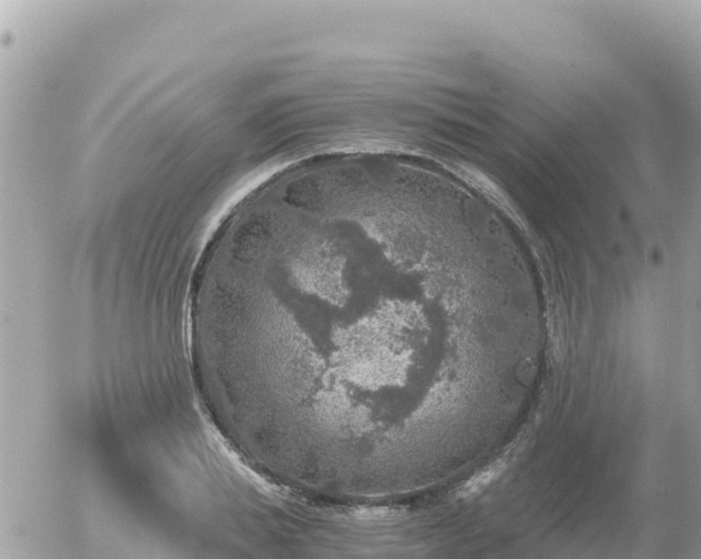 X0000056000839200508261748