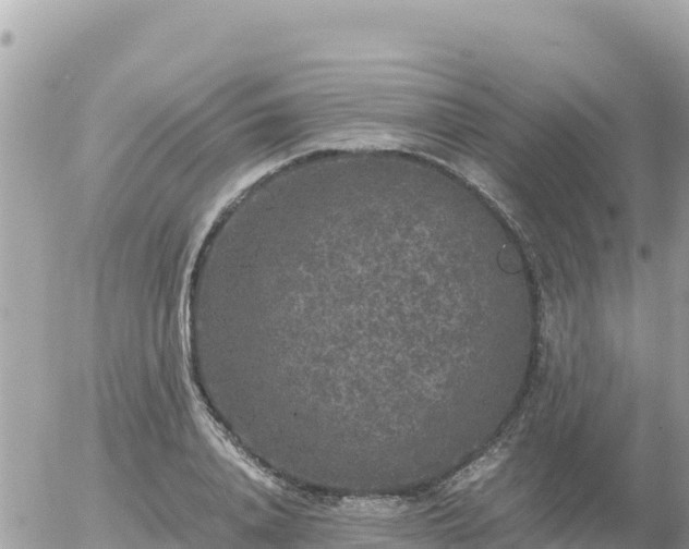 X0000056000840200508261748