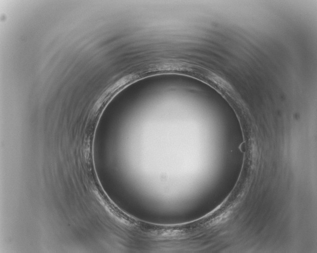 X0000056000841200508261748