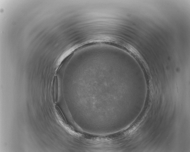 X0000056000842200508261748