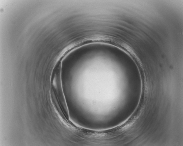 X0000056000845200508261748