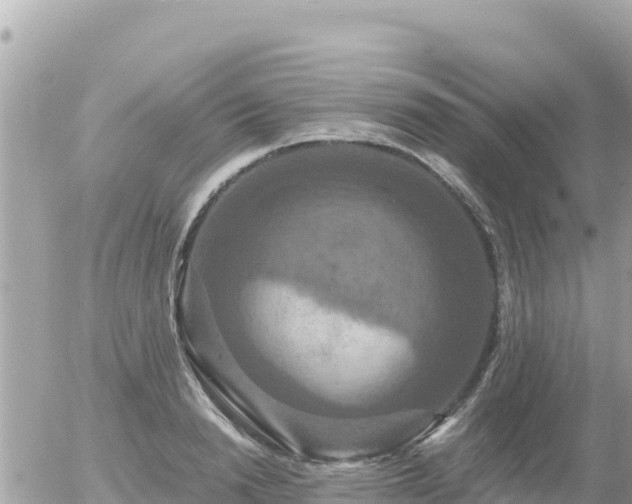 X0000056000846200508261748