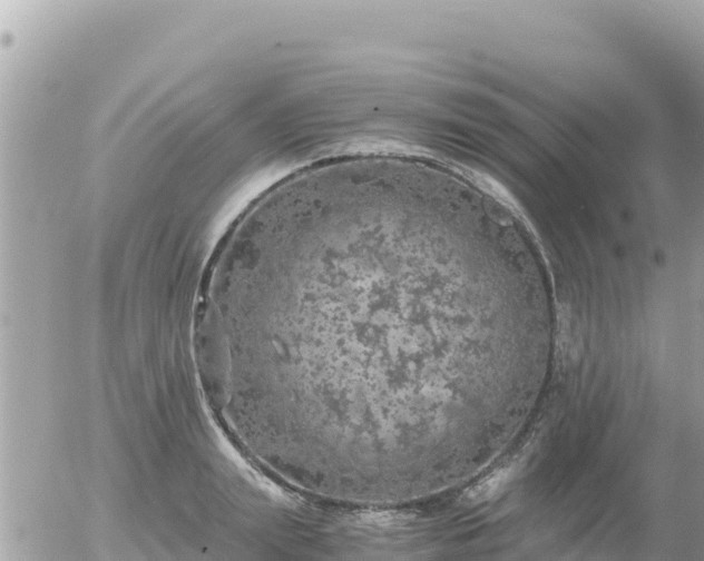 X0000056000847200508261748