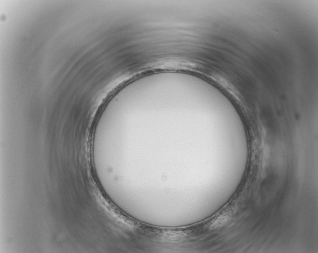 X0000056000848200508261748