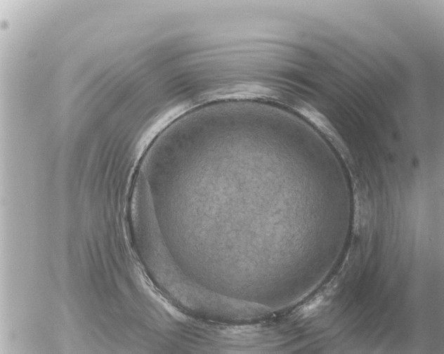 X0000056000850200508261748