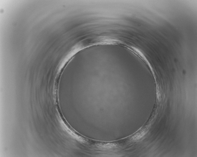 X0000056000851200508261748