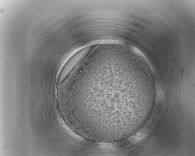 X0000056000852200508261748