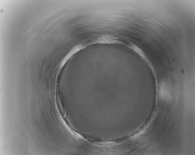 X0000056000853200508261748