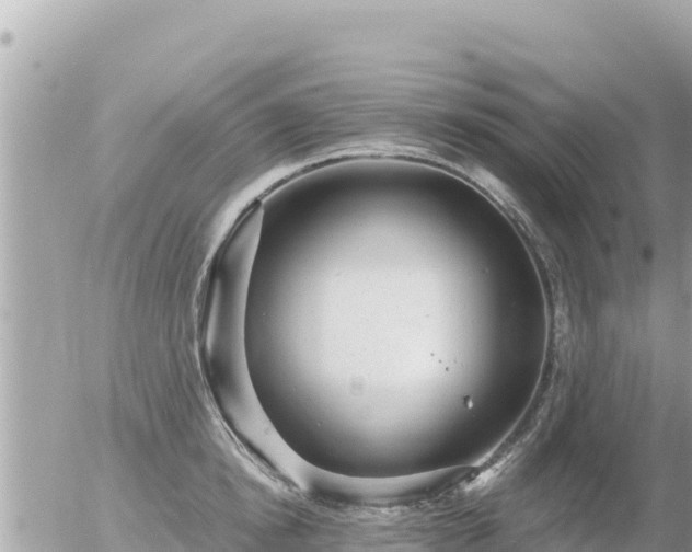 X0000056000854200508261748