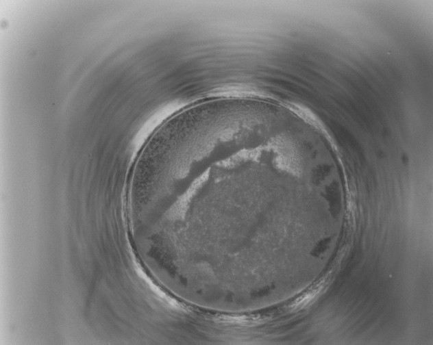 X0000056000855200508261748