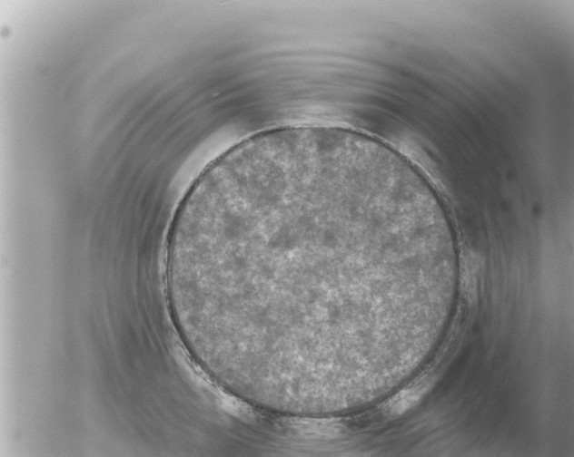 X0000056000856200508261748