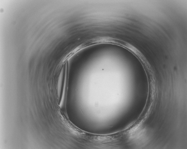 X0000056000857200508261748