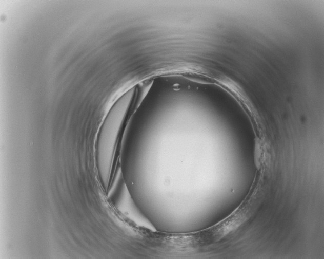 X0000056000858200508261748