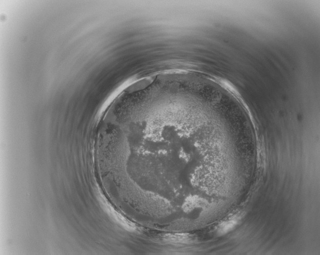 X0000056000859200508261748