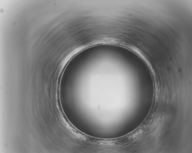 X0000056000861200508261748