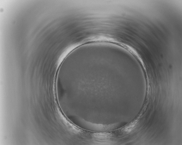 X0000056000863200508261748