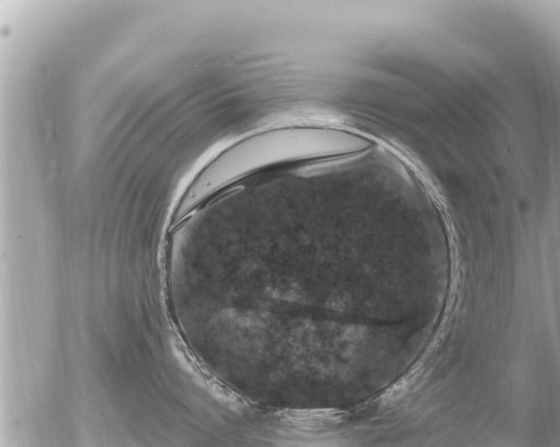 X0000056000864200508261748