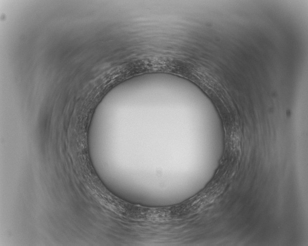 X0000056000865200508261747