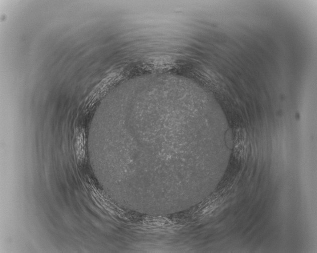 X0000056000866200508261747