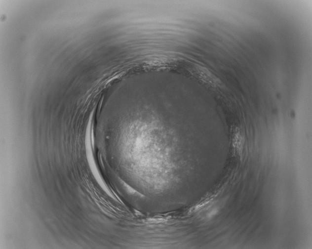 X0000056000868200508261747