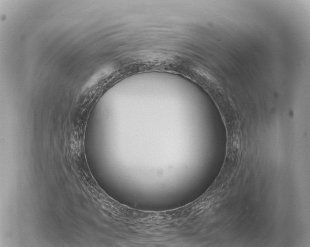 X0000056000869200508261747