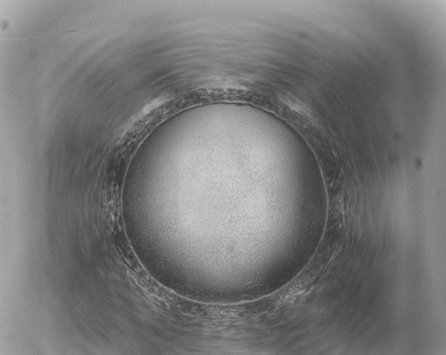 X0000056000870200508261747