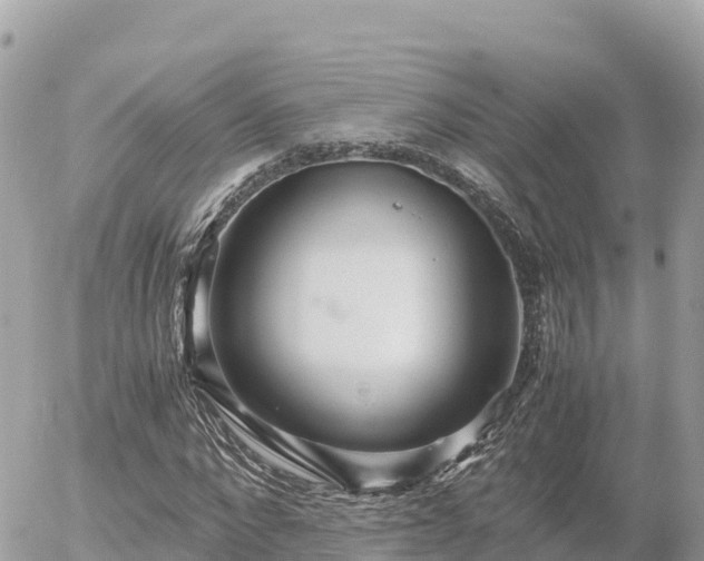 X0000056000872200508261747