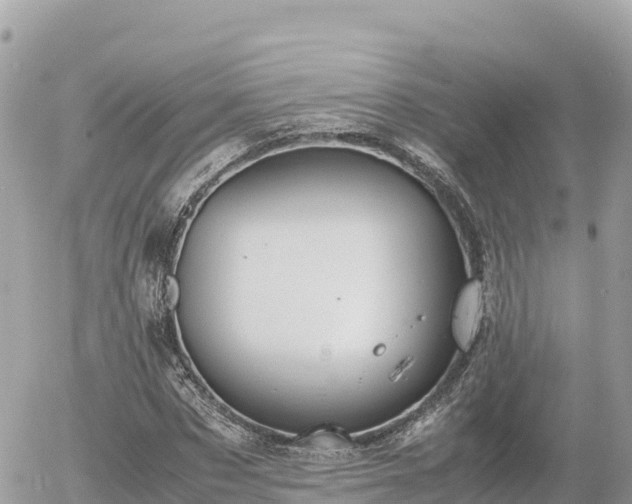 X0000056000873200508261747