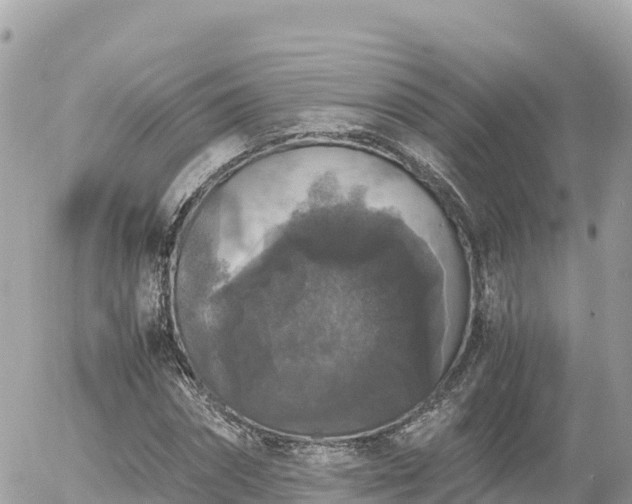 X0000056000874200508261747