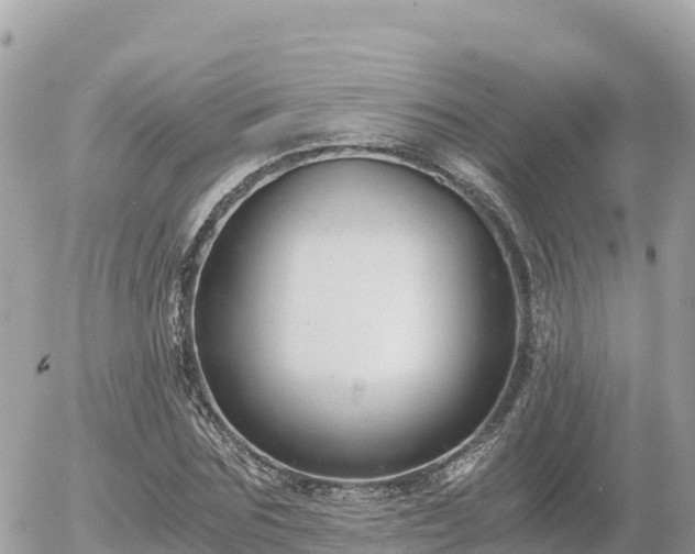 X0000056000875200508261747