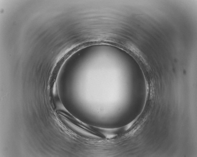 X0000056000876200508261747