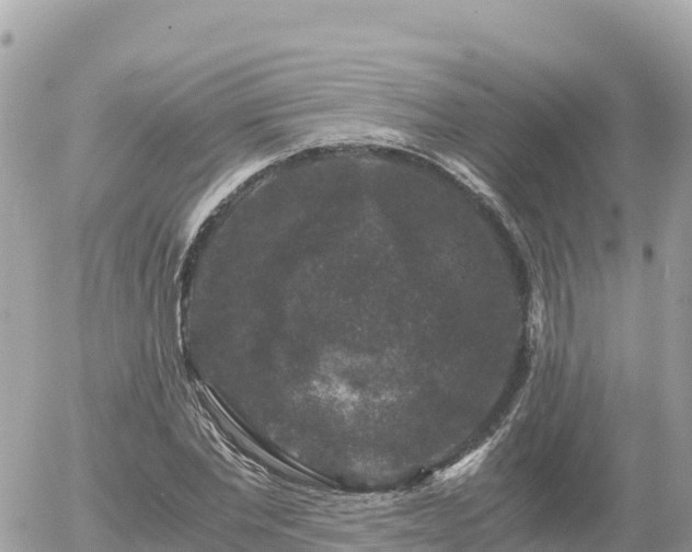 X0000056000877200508261747