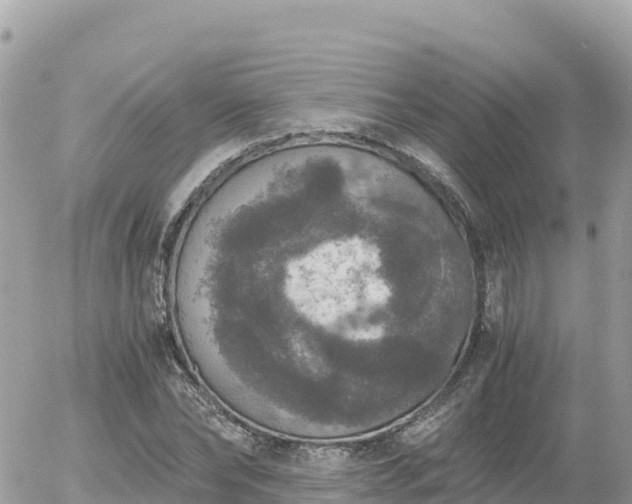 X0000056000878200508261747