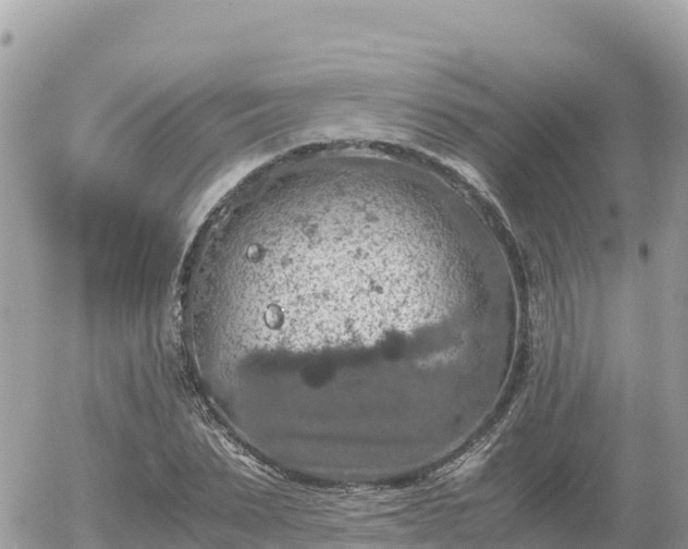 X0000056000879200508261747