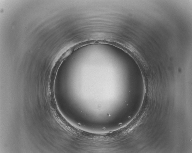 X0000056000880200508261747