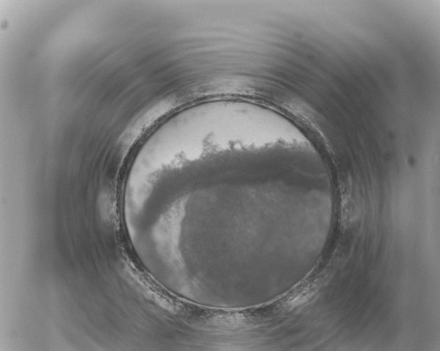 X0000056000882200508261747