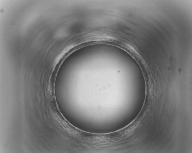 X0000056000883200508261747