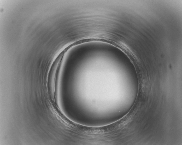 X0000056000884200508261747