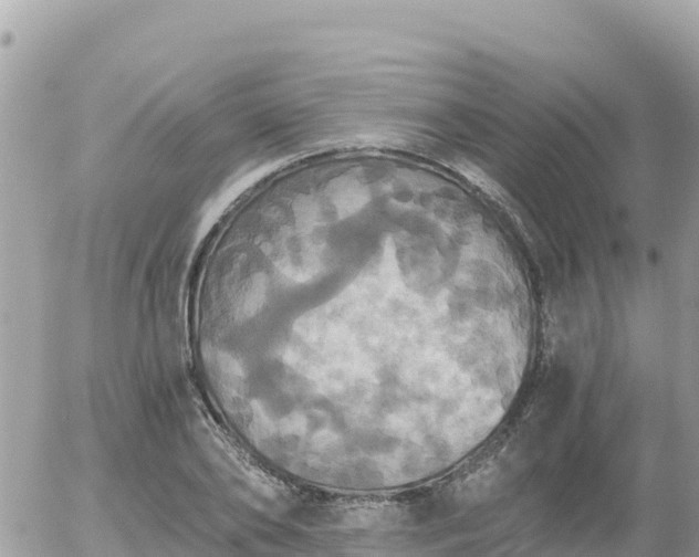 X0000056000886200508261747