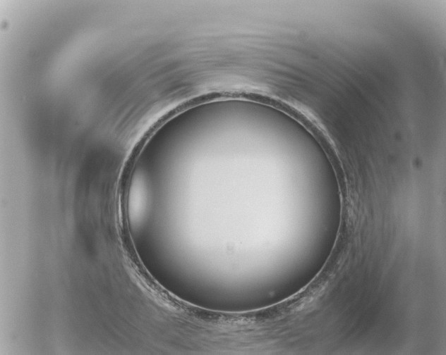 X0000056000887200508261747